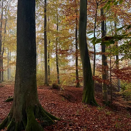 Appartamento 4summer Gold Perlowa Przystan Parking, 650m Do Plazy, 650m Zum *