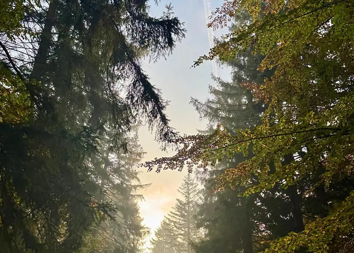 Apartment 4summer Gold Perlowa Przystan Parking, 650m Do Plazy, 650m Zum *